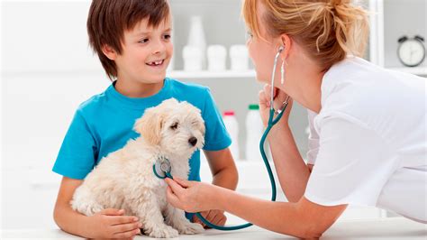 .hospital & pet resort ⭐ , united states, hewlett, 1225 broadway: Ardenwood Pet Hospital, 4900 Paseo Padre Parkway, Fremont ...