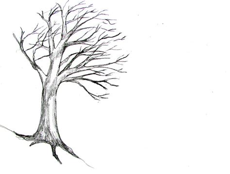 Maybe you would like to learn more about one of these? How To Draw A Tree - Happy Family Art
