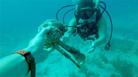 Scuba Diving The Florida Keys Youtube