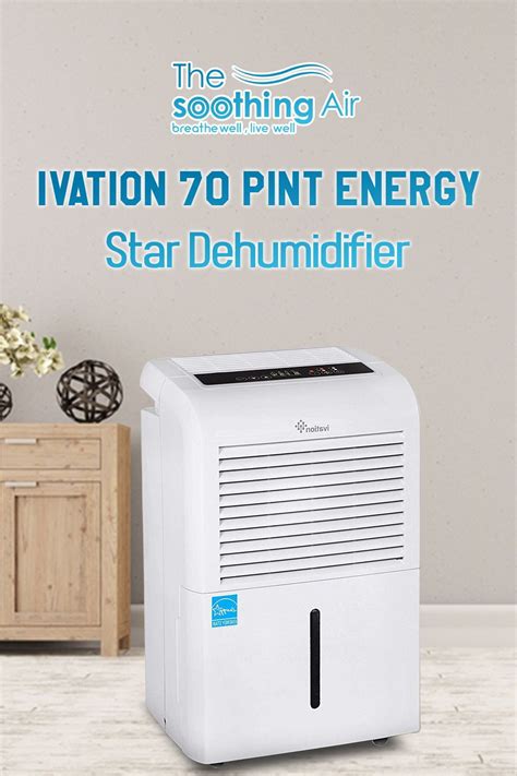 Yes, the basement spaces have much more moisture, mold, foul odor, and pests than rooms upstairs. Top 10 Basement Dehumidifiers (Feb. 2020): Reviews ...