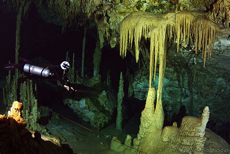 Cavern Diving Under The Jungle