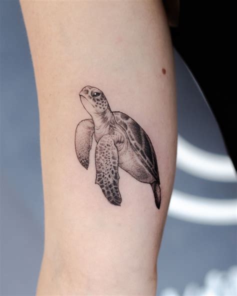 Aggregate More Than Matching Turtle Tattoos Latest In Eteachers