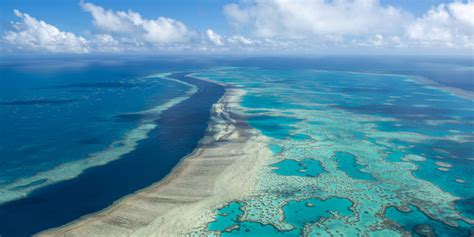 La Grande Barriera Corallina Australiana Sta Un Po Meglio Il Post