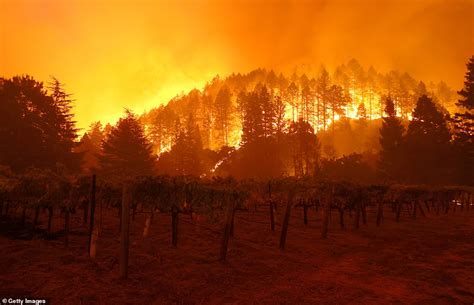 Famed Napa Valley Winery Is Destroyed By The Glass Fire As 2 000 Are Ordered To Evacuate And The