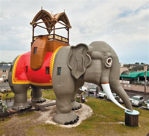 The History Of Lucy The Worlds Greatest Elephant Downbeach Buzz