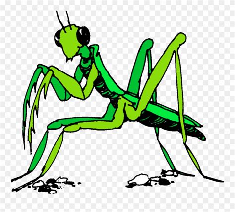 Stick Insect Clipart 10 Free Cliparts Download Images On Clipground 2021