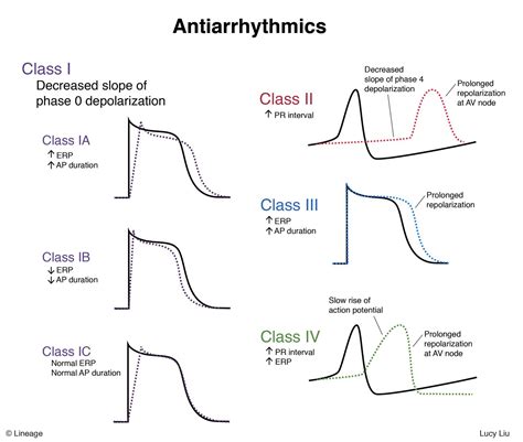 Antiarrhythmics Cardiovascular Medbullets Step 1