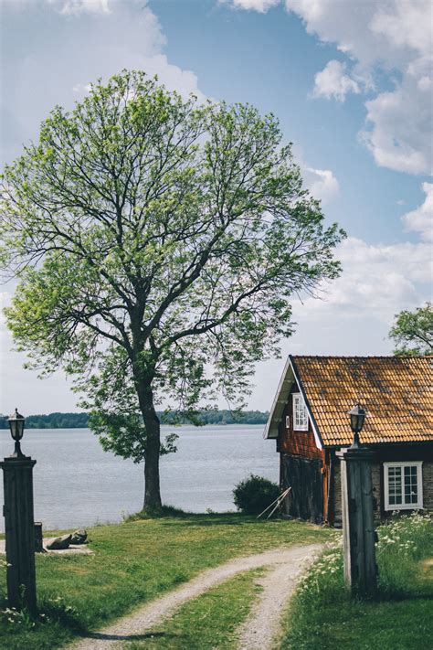 Check spelling or type a new query. Sweden | Cabin, Tree, Lake