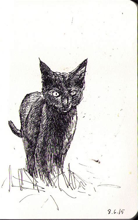 Sketch Of A Little Cat In Ballpoint Pen One Drawing Daily
