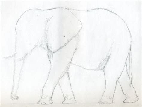 De 25 Bedste Idéer Inden For Simple Elephant Drawing På Pinterest