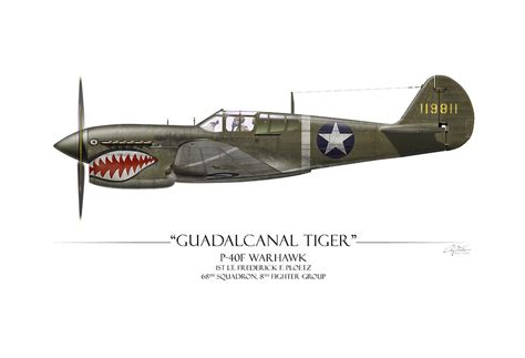 Guadalcanal Tiger P Warhawk White Background Painting By Craig Tinder