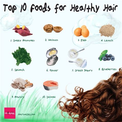 Top 10 Foods For Healthy Hair Healthy Hair Healthy 10 Things