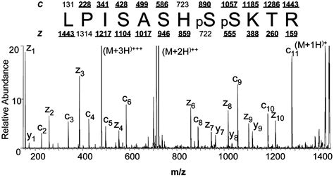 Peptide And Protein Sequence Analysis By Electron Transfer Dissociation