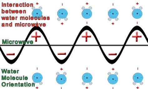 Whereas, boiling requires all the water particles to be at an evenly distributed temperature. Everything You Know About Microwave Ovens Is a Lie « Food ...