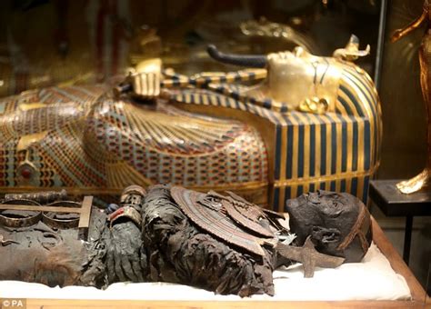 The Mummy Of Tutankhamuns Dark Secret The Curse Of The Pharaohs