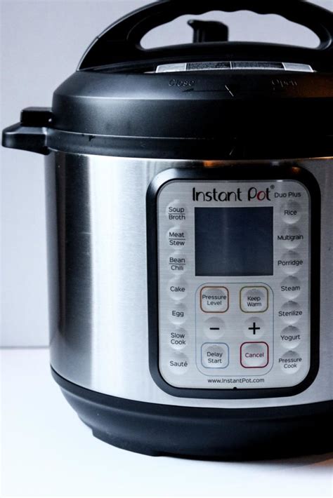 Easy Instant Pot Recipes for Beginners | Mom's Dinner