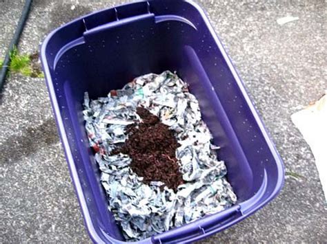 Marphyl organic liquid soil enhancer with all natural marine phytoplankton, 16.9 fl. Edmonton Master Composter Recycler Program Lesson Four ...