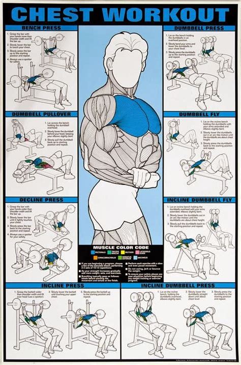 Image Gallery Chest Workout