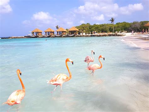 The Tiny Island Of Aruba Has Become Famous On Instagram For One Main