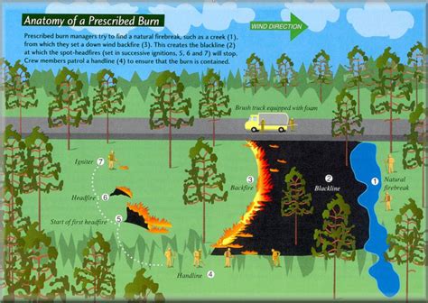 Anatomy Of A Prescribed Fire Wildfire Today