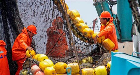 Sector Pesca Pescadores Podrán Retirar Hasta El 90 De Su Cts ¿se