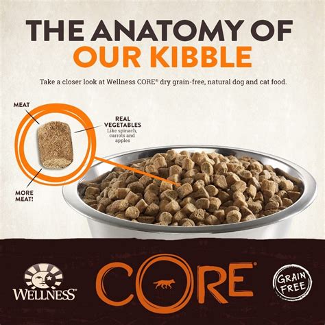 We did not find results for: Wellness CORE Natural Grain Free Dry Dog Food, Small Breed