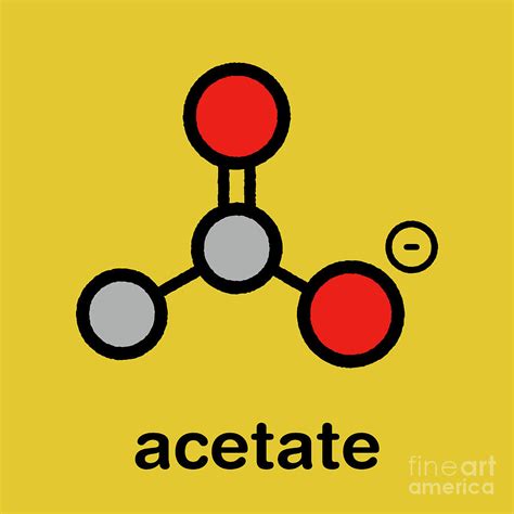 Acetate Anion Chemical Structure Photograph By Molekuulscience Photo