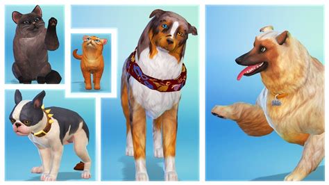 The Sims 4 Cats And Dogs Create A Pet Real Footage Youtube
