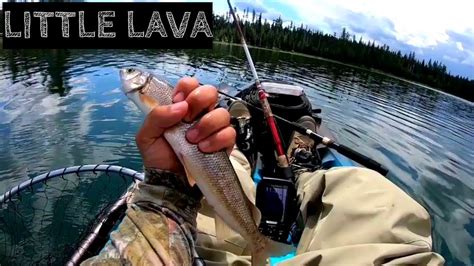 Upper klamath lake central oregon is, without a doubt, oregon's hotspot when it comes to fly fishing lakes. Central Oregon fishing - Lava Lake June 2019 - YouTube