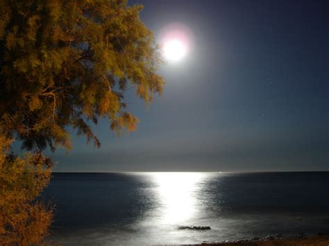 Moonlight Photo From Marathias In Laconia