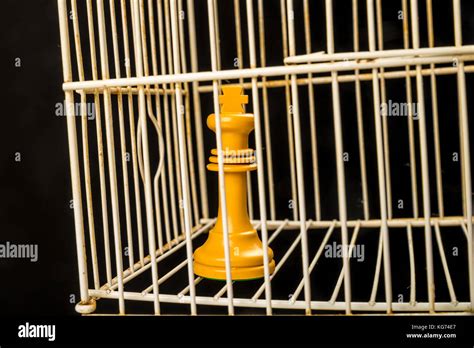 King behind prison bar, a political conflict concept Stock Photo - Alamy