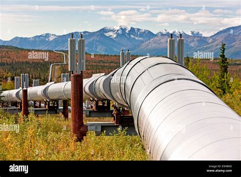 Trans Alaska Pipeline Fairbanks Alaska Usa Stock Photo 74755309 Alamy