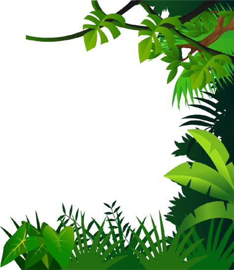 Jungle Frame Clipart Png Download Full Size Clipart 3669637