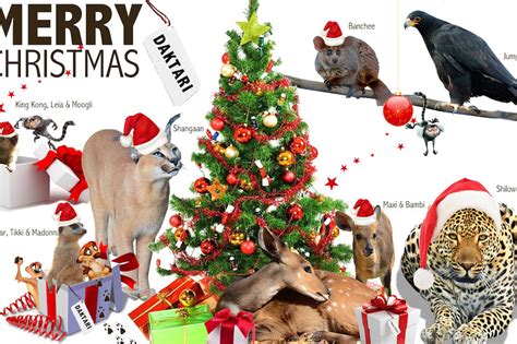 Christmas Gift  Donate for An Animal  GlobalGiving