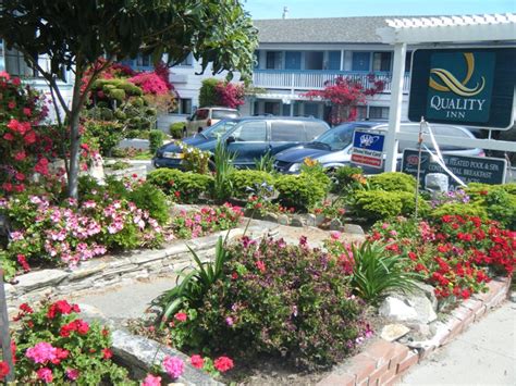 Get refreshed in our inviting guest rooms, all of which feature expanded cable television channels, irons and ironing boards, coffee makers. Quality Inn (Monterey) - YoNinja.com