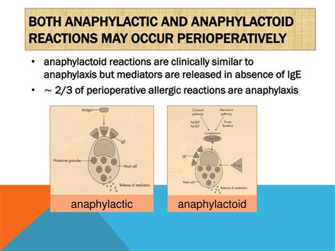 Ppt Perioperative Anaphylaxis A Brief Review Powerpoint Presentation