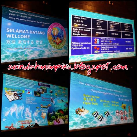 Inside the aquarium, there is a sea shells museum that showcases vast number of shells of different kinds. Seindah Mimpiku: Pengalaman Pegang Gamat Di The Shore ...