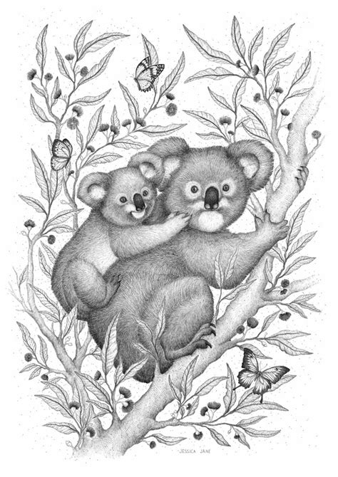Koalas — Jessica Jane Illustration Koala Drawing Koala Illustration