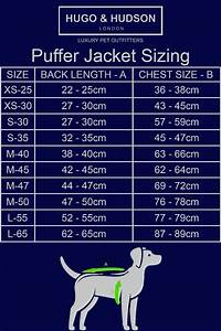 H H Size Chart World Wide Walkies