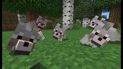 Maybe you would like to learn more about one of these? SUPER CUTE MINECRAFT PUPPY! - YouTube