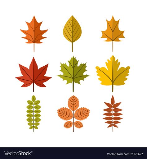Simple Autumn Leaf Symbol Graphic Design Template Vector Image