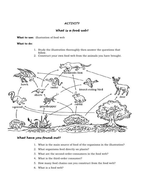 Food Web And Food Chain Worksheets Answers Key