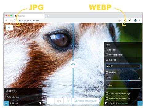 Why and how to use WebP images today