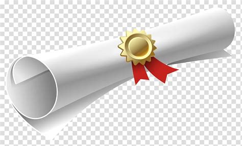 Rolled Paper With Ribbon Diploma Academic Certificate Graduation Ceremony Diploma Scroll
