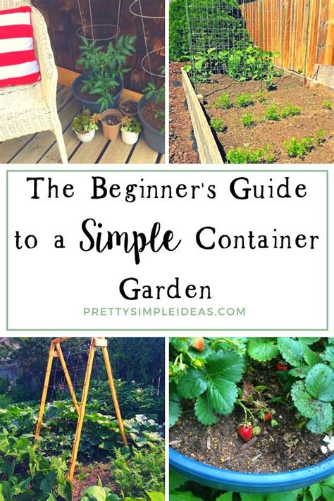 How To Grow A Container Garden For Beginners Gardening For Beginners