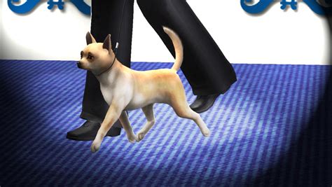 Example Sims Kennel Club