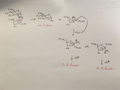 Solved For The Mechanism Of The Hydrolysis Of Sucrose To