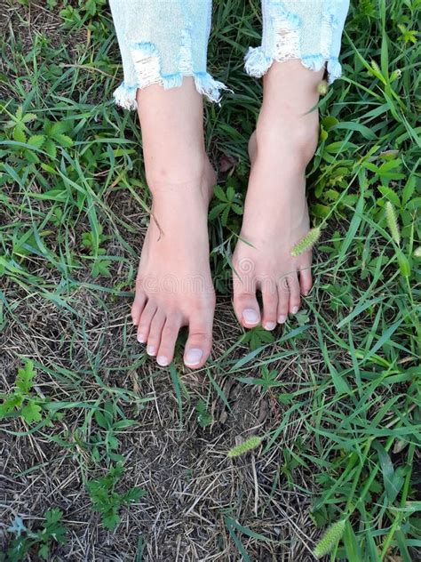 Bare Feet In Grass Stock Image Image Of Plant Meadow 227893291