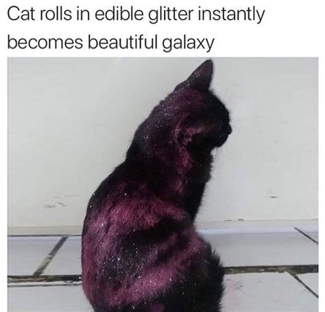 Galaxy Cat Meme By Damusicgamer Memedroid