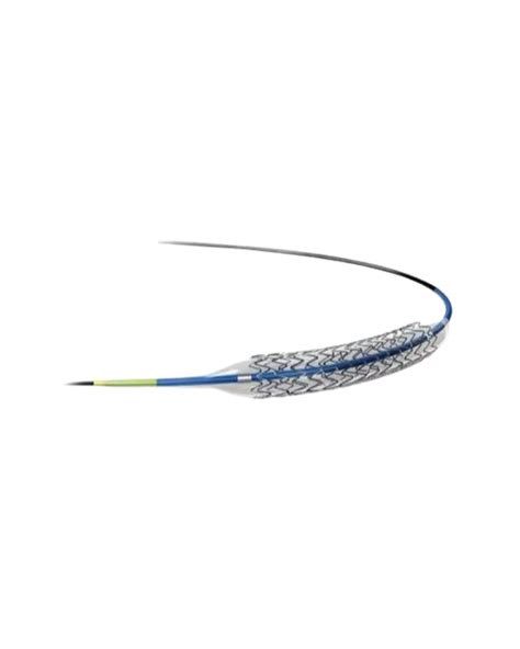 Abbott Xience Prime Coronary Stent For Hospital At Rs 22000 In New Delhi